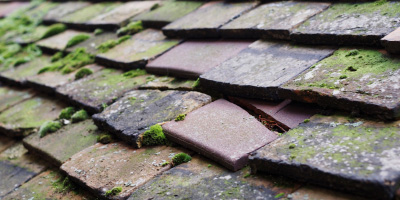 Shipton Brook roof repair costs